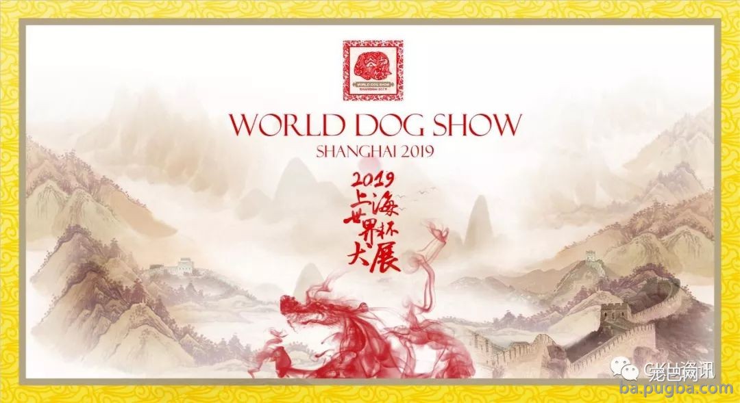 2019年上海世界杯犬展，当梦想成真…-1.jpeg
