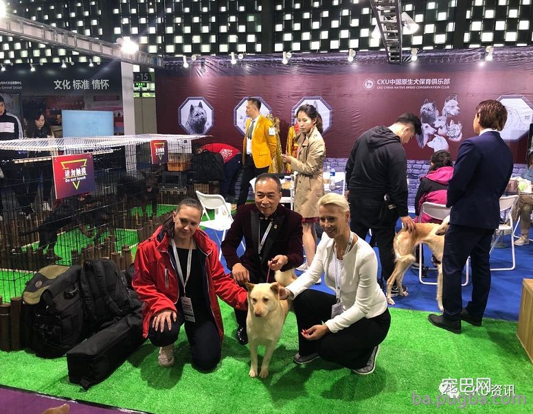 2019年上海世界杯犬展，当梦想成真…-25.jpeg