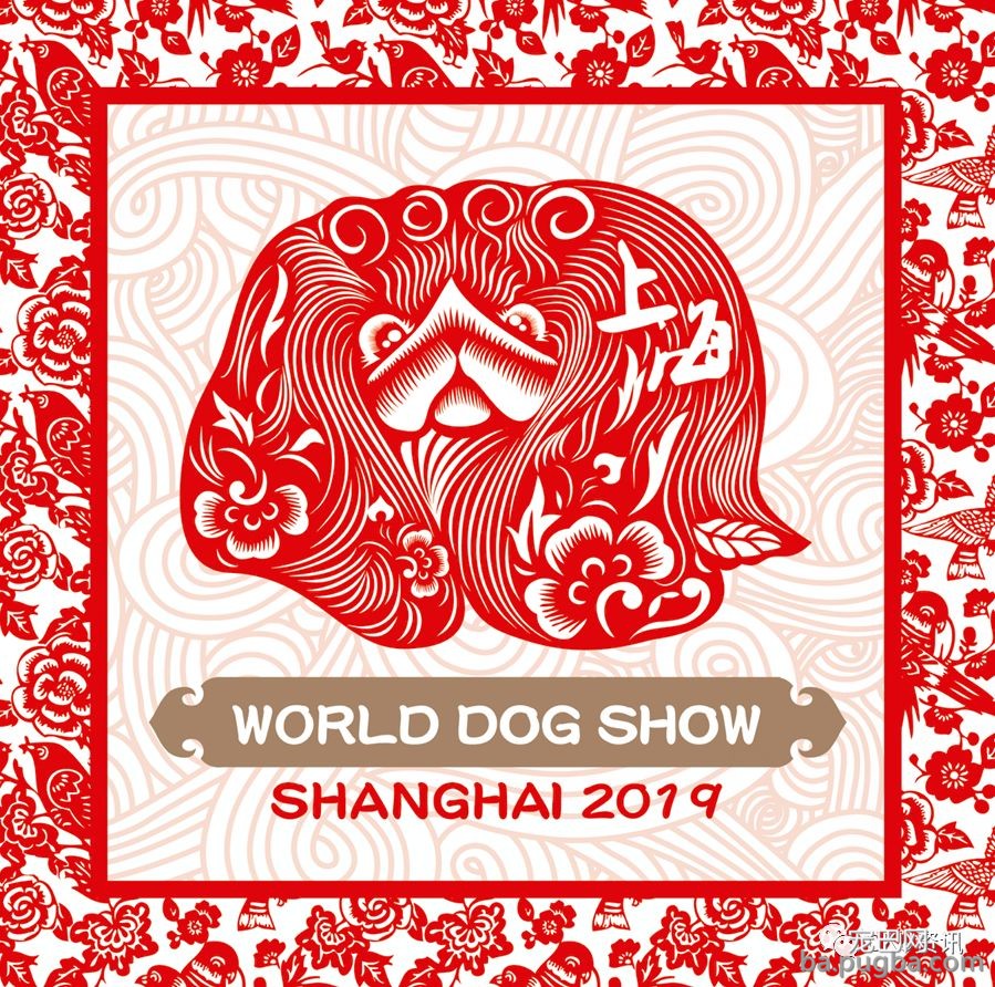 2019年上海世界杯犬展，当梦想成真…-44.jpeg