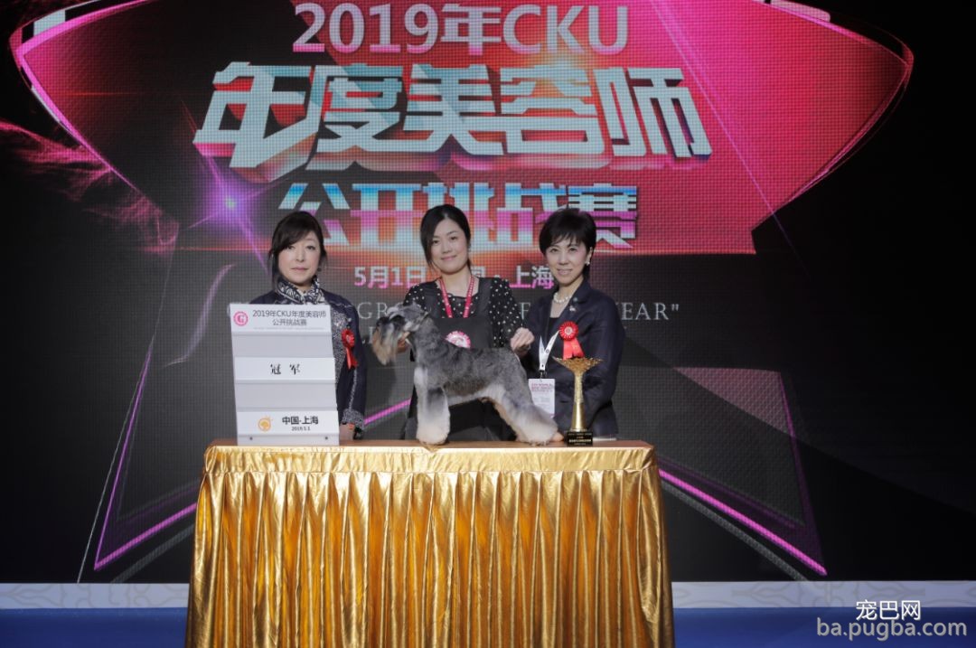 2019年上海世界杯犬展炽热jin行中……-6.jpeg