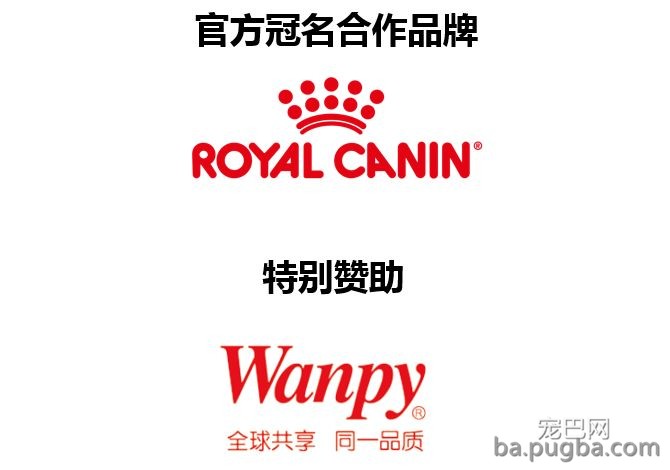 2019年上海世界杯犬展炽热jin行中……-28.jpeg