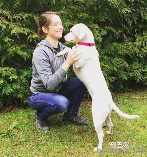 狗狗搬场后交不到朋友，主人就为它筹谋了一个大惊喜！-2.jpeg
