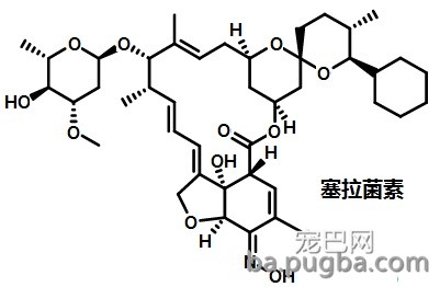 塞拉菌素.jpg