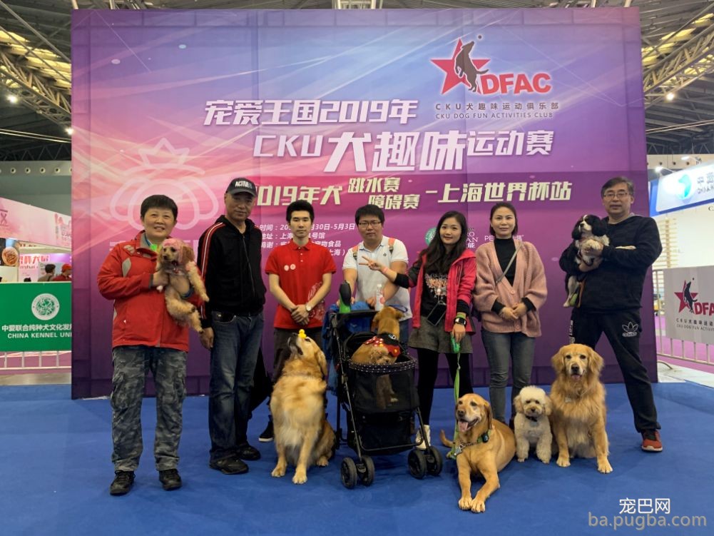 2019年上海世界杯现场犬兴趣运动：人宠默契，羡煞旁人！-3.jpeg