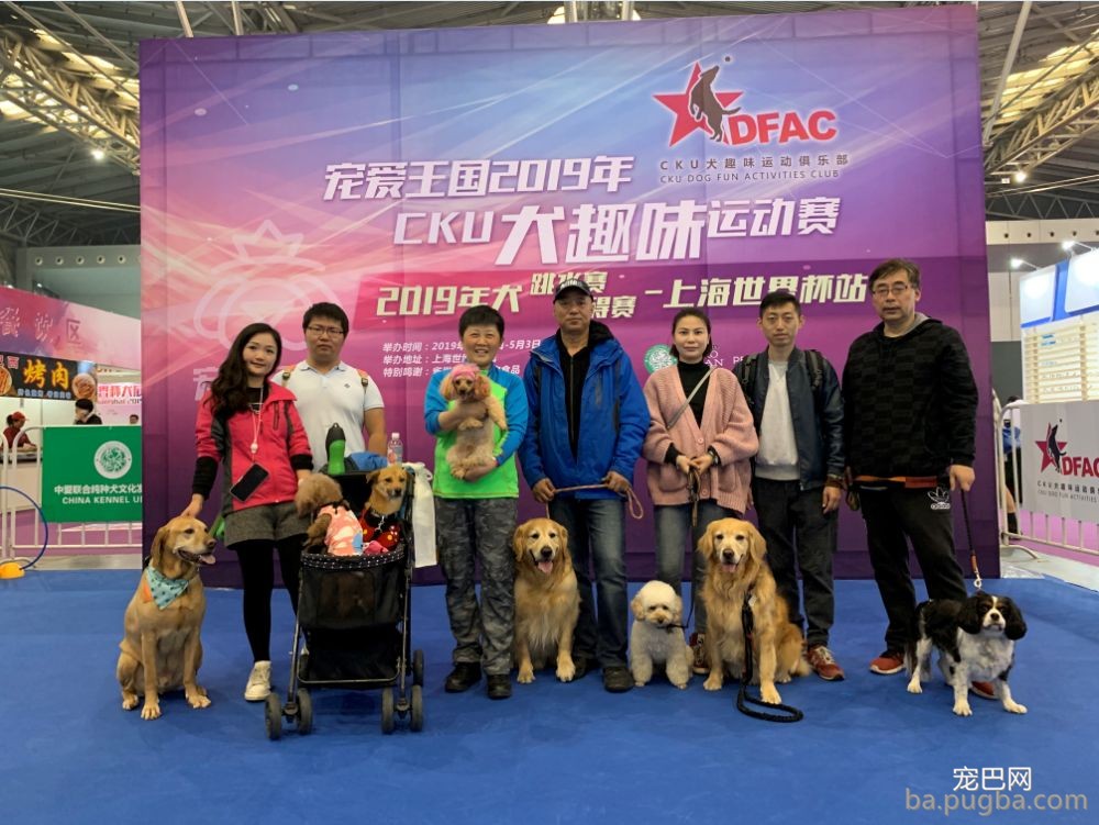 2019年上海世界杯现场犬兴趣运动：人宠默契，羡煞旁人！-8.jpeg