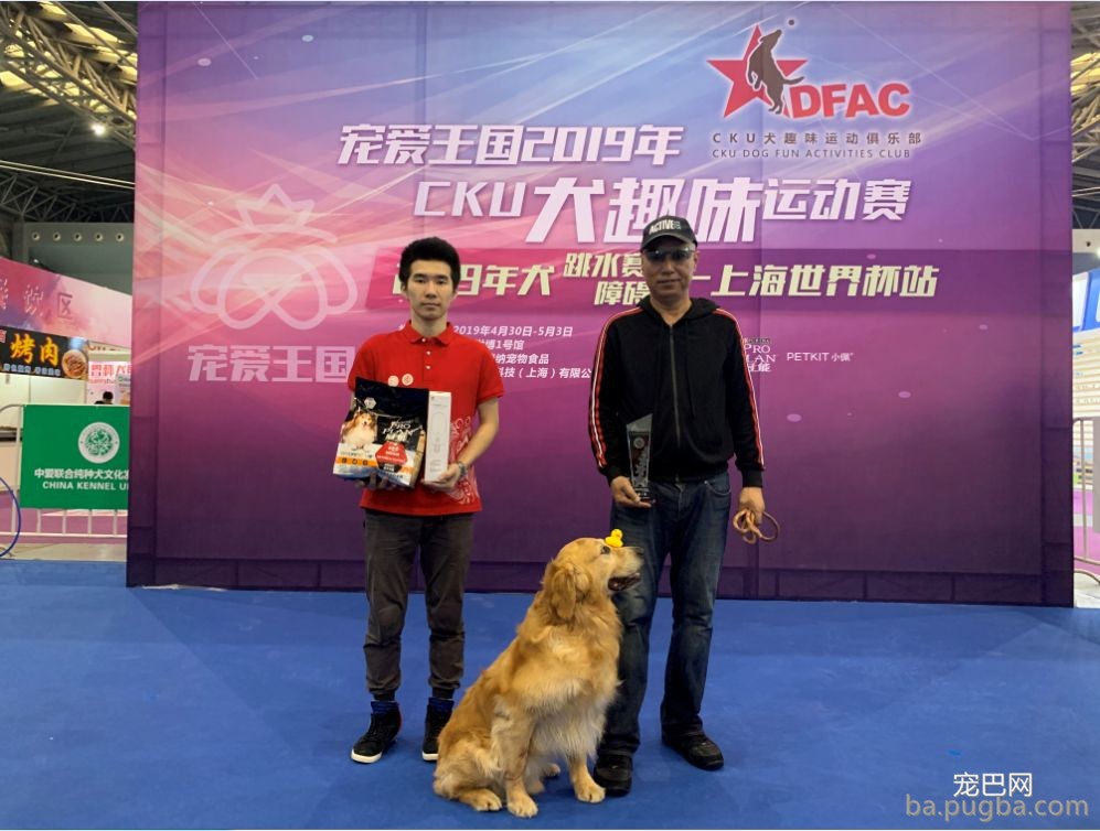 2019年上海世界杯现场犬兴趣运动：人宠默契，羡煞旁人！-9.jpeg