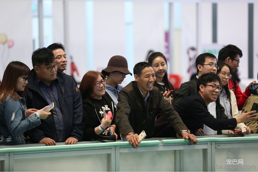 2019年上海世界杯现场犬兴趣运动：人宠默契，羡煞旁人！-13.jpeg