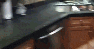 狗狗有多诚实？做错事，看它表情就知道了……-6.gif