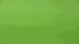 狗狗拉稀的4大原因和对策，图文并茂都在这里-10.gif