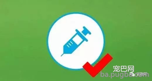 狗狗拉稀的4大原因和对策，图文并茂都在这里-9.jpeg