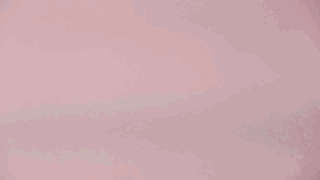 狗狗拉稀的4大原因和对策，图文并茂都在这里-6.gif