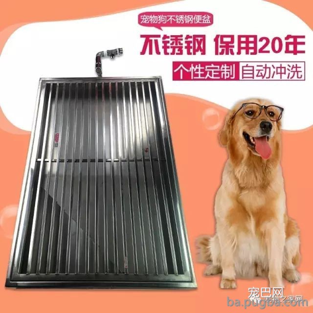 训练狗狗上厕所的方法(图)-1.jpeg