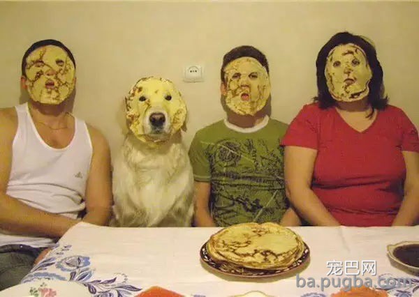 有些狗砸啊，已经被主人逼疯了...-14.jpg