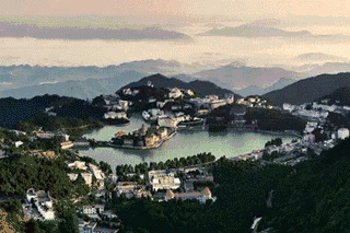 带狗狗出行，这些问题你注意了吗？-3.gif