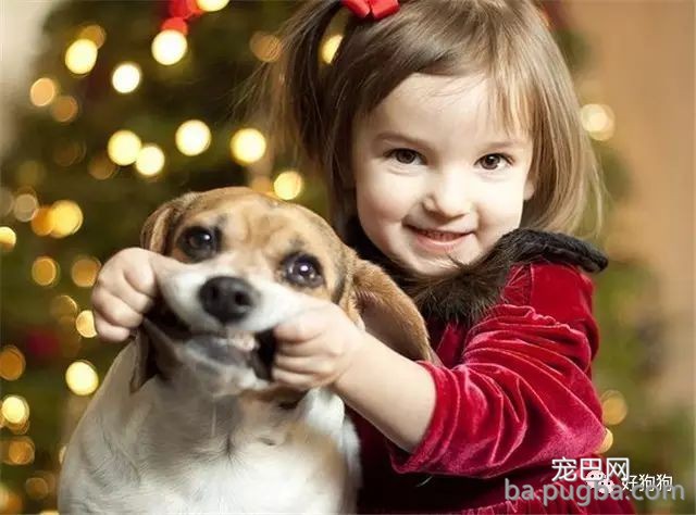 狗狗和熊孩子帮妈妈忙洗衣服，这神配合也是默契到没谁了！-2.jpeg