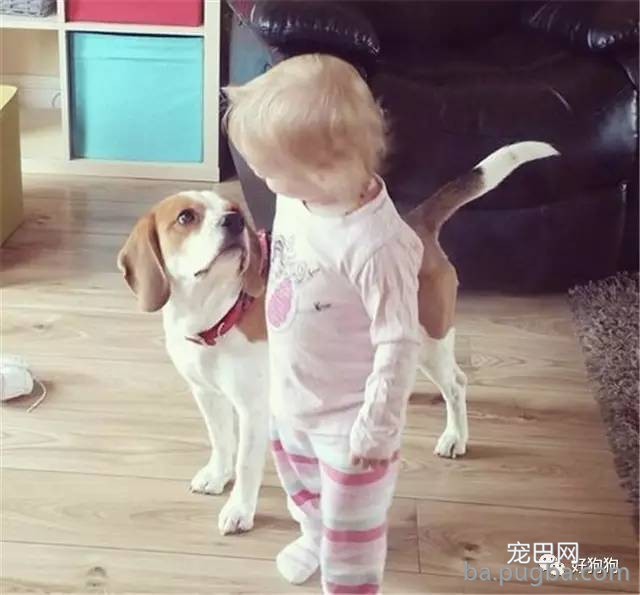 狗狗和熊孩子帮妈妈忙洗衣服，这神配合也是默契到没谁了！-9.jpeg