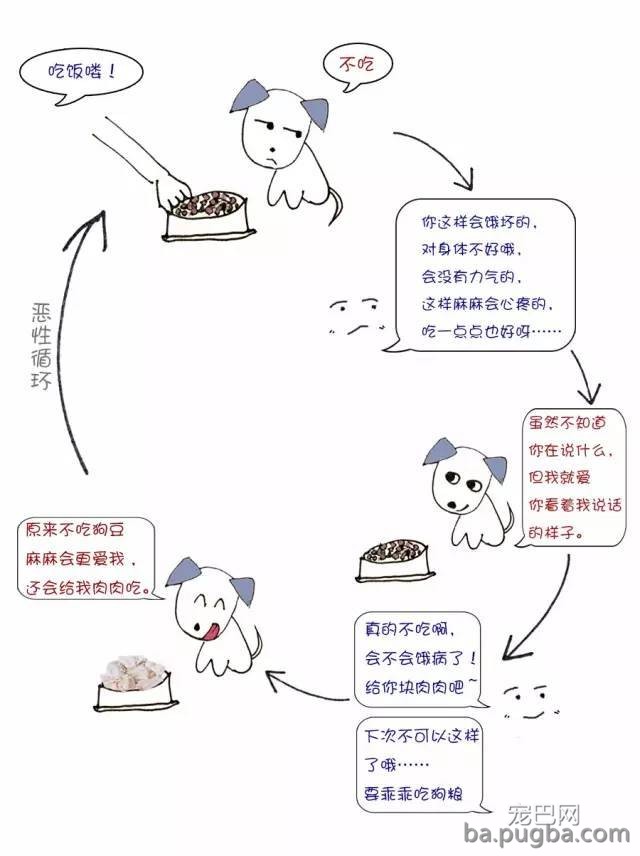 狗狗挑食怎么办？-2.jpeg