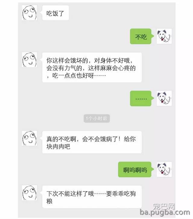 狗狗挑食怎么办？-1.jpeg