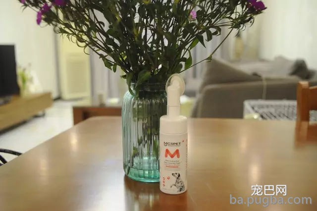 主酬报狗狗制作雨天遛狗神器，狗子上去后一秒石化…-7.jpg