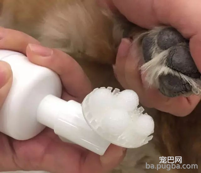 主酬报狗狗制作雨天遛狗神器，狗子上去后一秒石化…-8.jpg