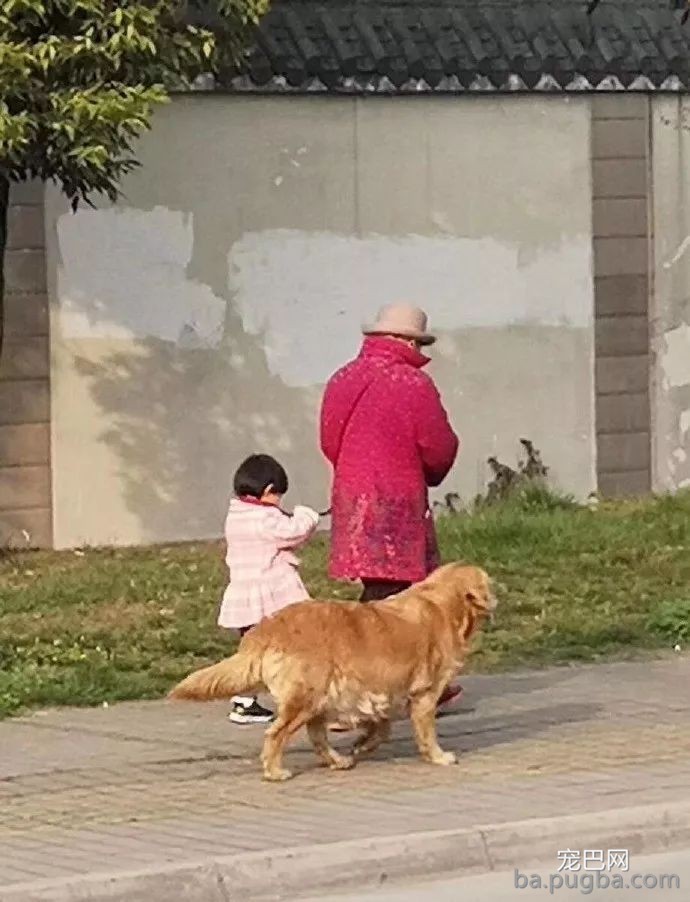偶遇一位奶奶牵孙女遛狗，可认真看了下，奶奶是不是牵错了？-3.jpeg