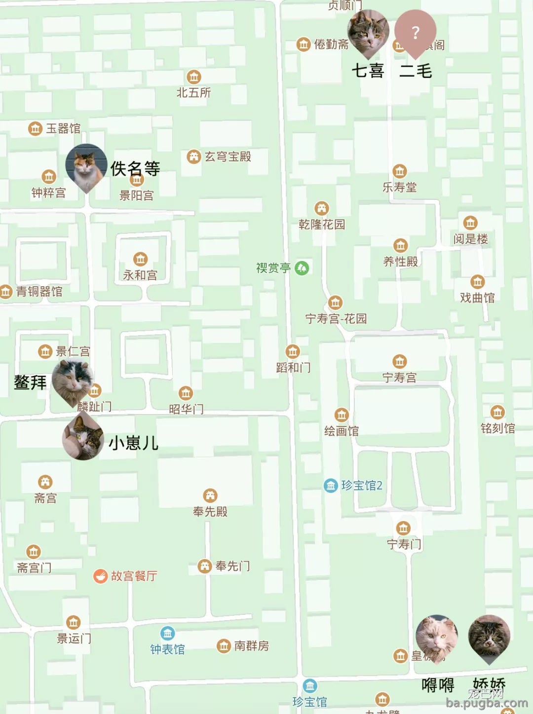 年度故宫御猫美照大赏，并附亲身撸猫攻略！-14.jpg