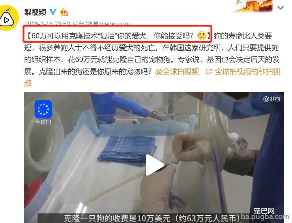 给你一个让失去的爱犬，再“回来”你身边的时机，你愿意测验考试吗？-2.jpeg
