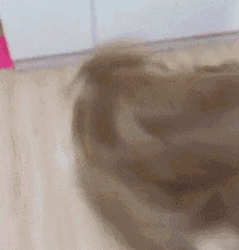 给家里小狗买了专用床，这事被大金毛知道后…-5.gif