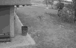 动物远比人类要仁慈许多，这些图片就能证明！-4.gif