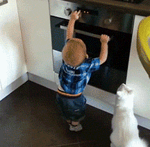动物远比人类要仁慈许多，这些图片就能证明！-9.gif