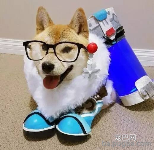 你们这么“玩狗”，狗说啥了吗？-16.jpeg