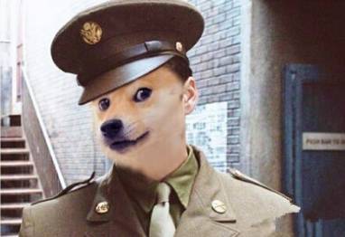 你们这么“玩狗”，狗说啥了吗？-26.jpeg