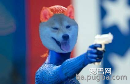 你们这么“玩狗”，狗说啥了吗？-31.jpeg