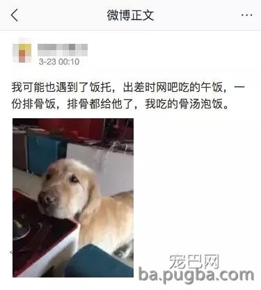 狗狗有多受欢送？网友说她家狗狗要被路人摸秃头了-17.jpg