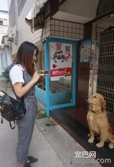 狗狗有多受欢送？网友说她家狗狗要被路人摸秃头了-30.jpg