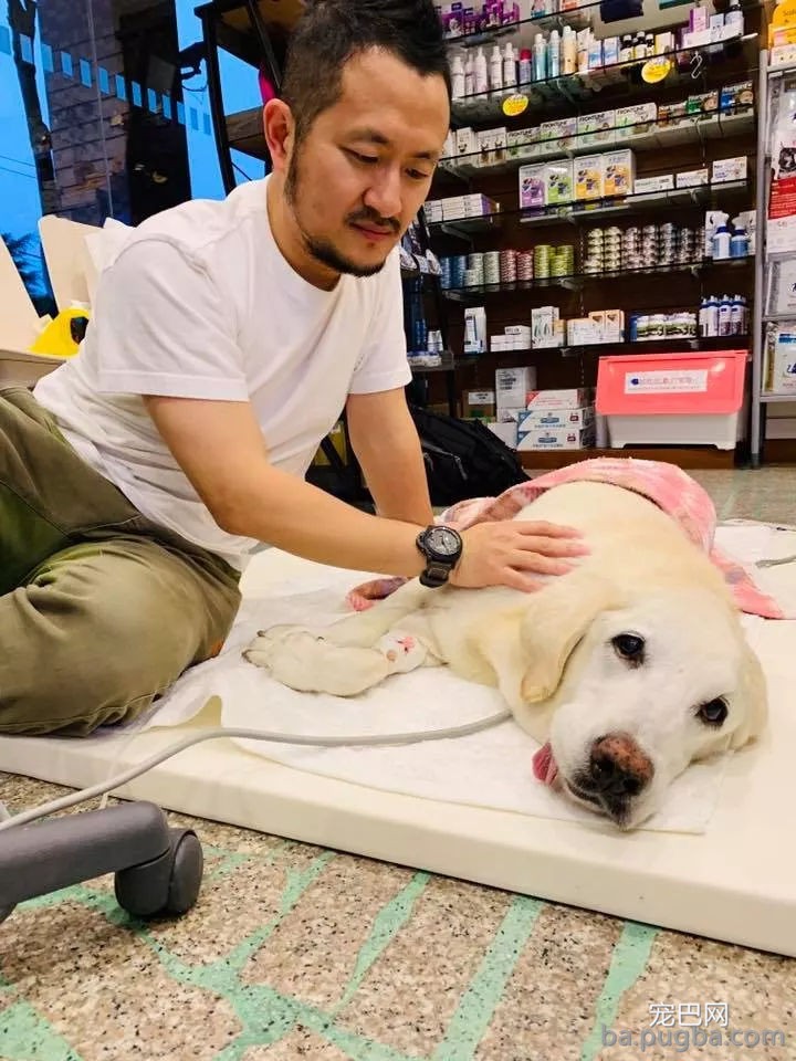 九把刀的爱犬离世：来世还要当你的铲屎官-2.jpg