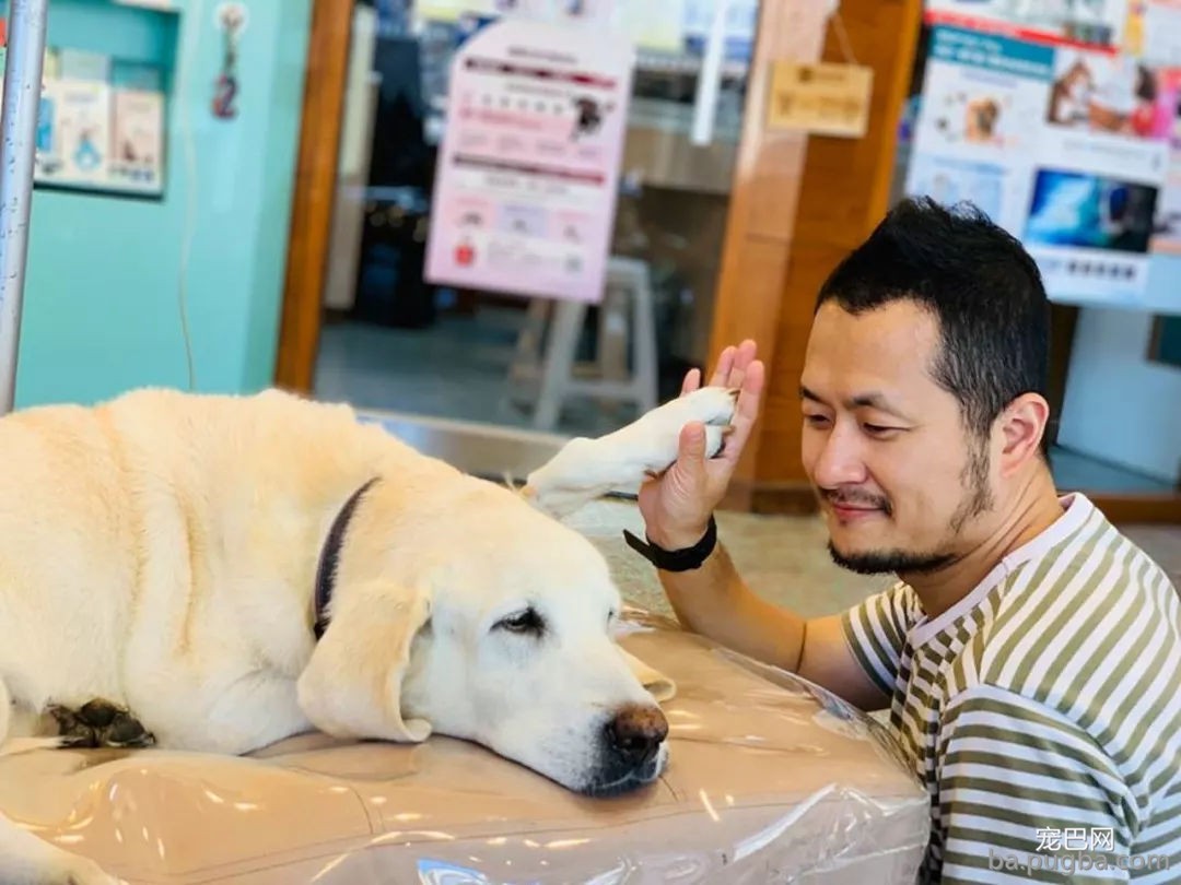 九把刀的爱犬离世：来世还要当你的铲屎官-3.jpg