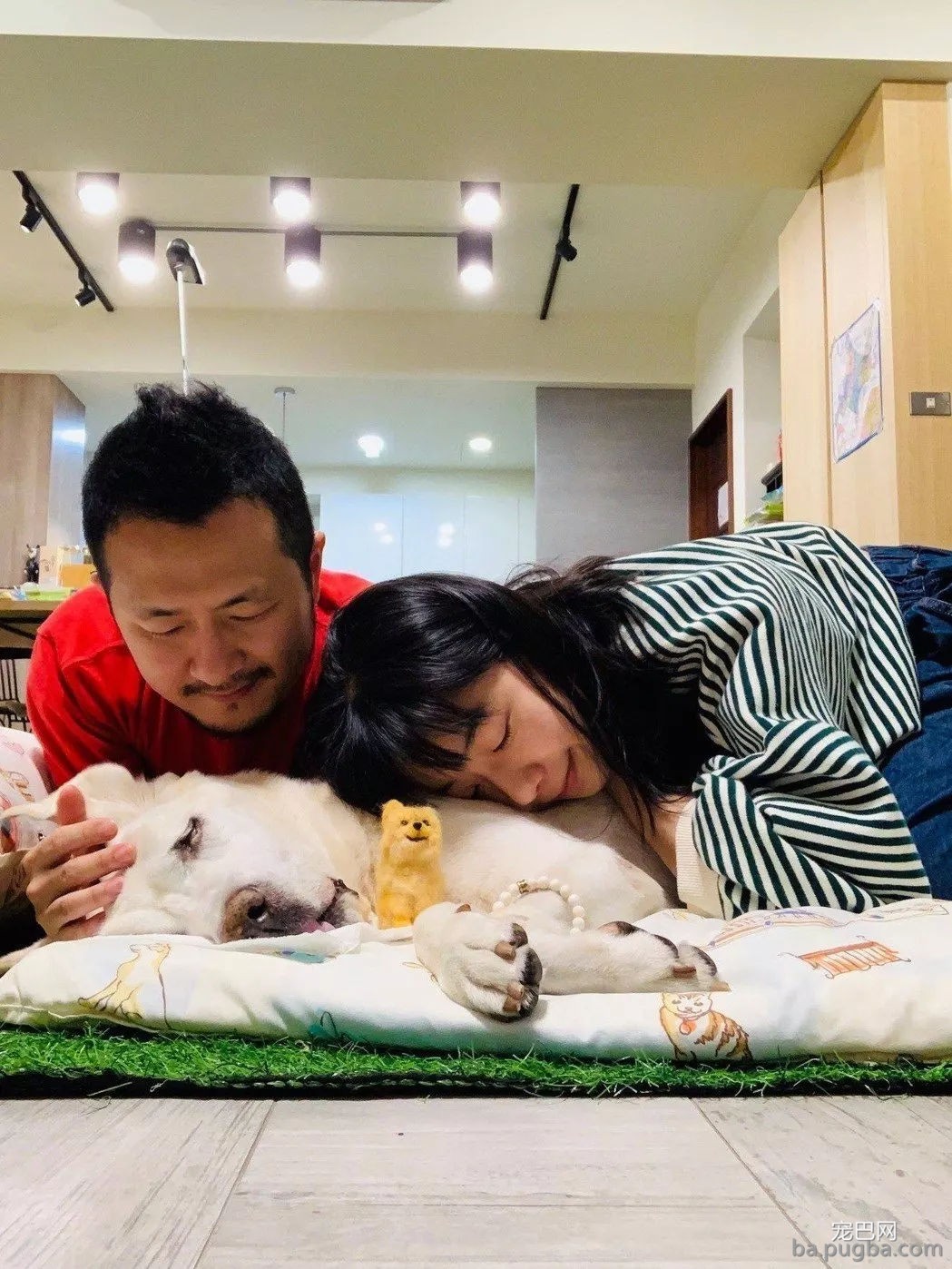 九把刀的爱犬离世：来世还要当你的铲屎官-9.jpg