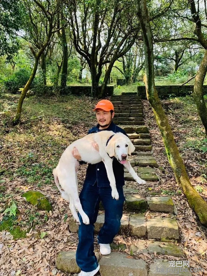 九把刀的爱犬离世：来世还要当你的铲屎官-5.jpg