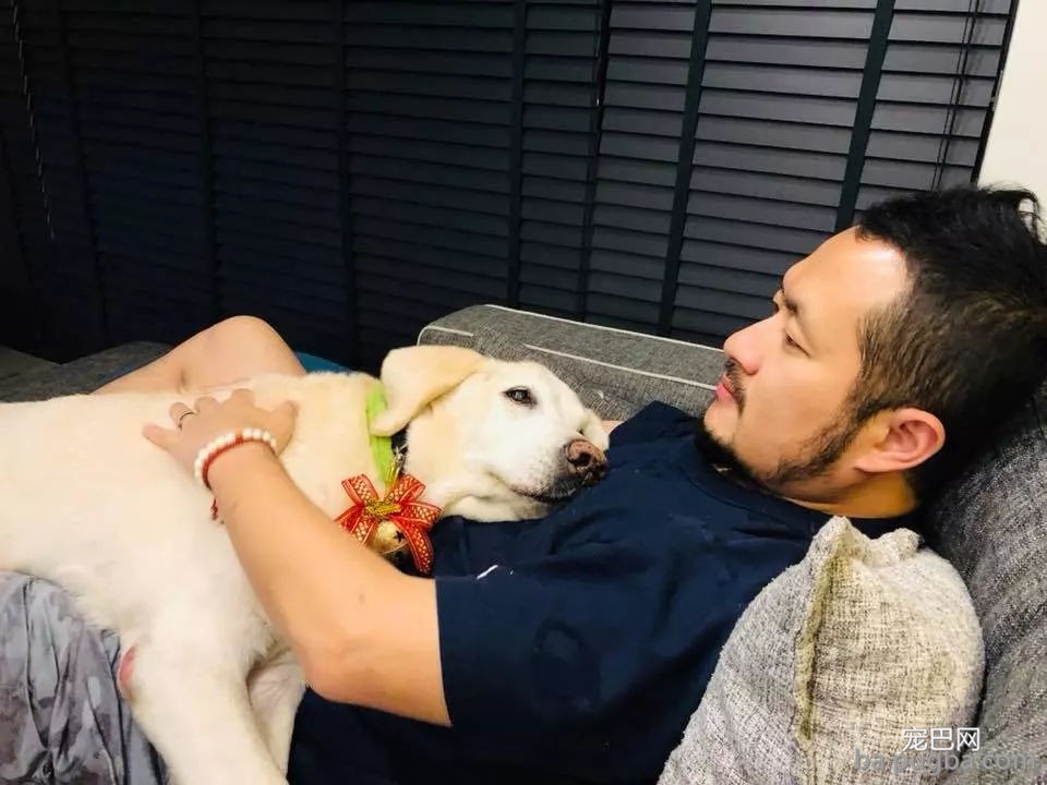 九把刀的爱犬离世：来世还要当你的铲屎官-6.jpg