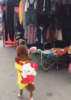 狗狗直立行走很拉风？偶尔能够，请不要持久噢！-1.gif