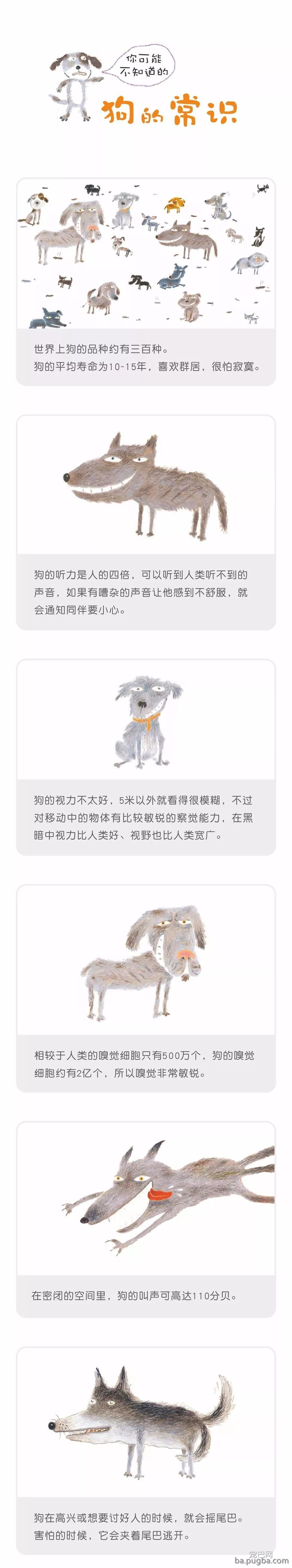 你可能不知道的狗的常识-1.jpeg