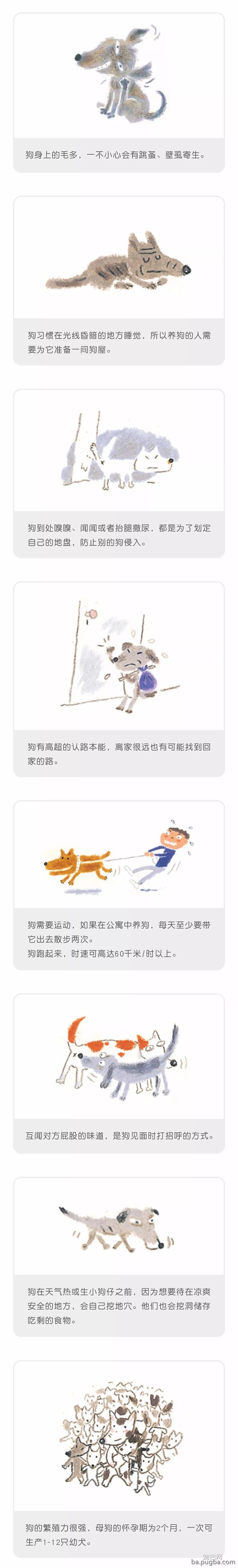 你可能不知道的狗的常识-2.jpeg