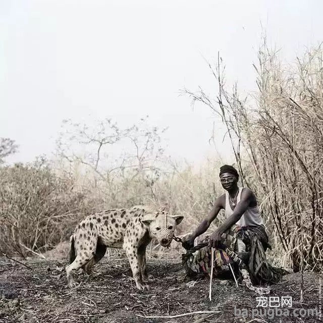 非洲人征服了世界最凶猛的狗，打架不用动手间接开门放狗-4.jpg