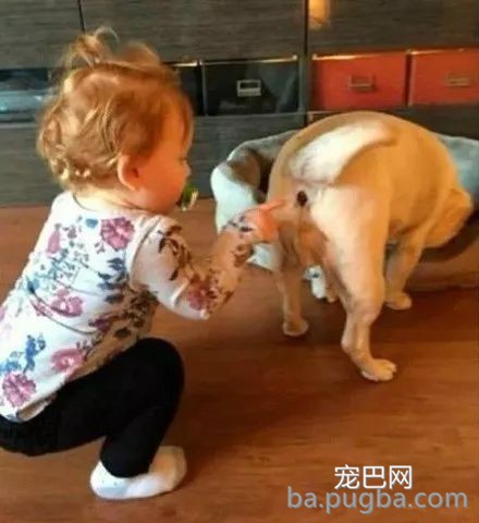 一看这些狗就不是主人“亲生的”，混的一个比一个惨...-3.jpeg