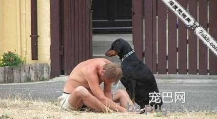 一看这些狗就不是主人“亲生的”，混的一个比一个惨...-11.jpeg