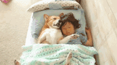 一看这些狗就不是主人“亲生的”，混的一个比一个惨...-17.gif