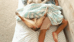 一看这些狗就不是主人“亲生的”，混的一个比一个惨...-18.gif