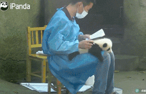 一看这些狗就不是主人“亲生的”，混的一个比一个惨...-22.gif