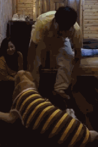 持续28年蝉联北美最受欢送狗狗，果然又是它…-36.gif